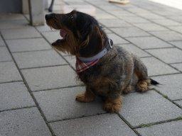 peter_fahrzeugweihe 43
